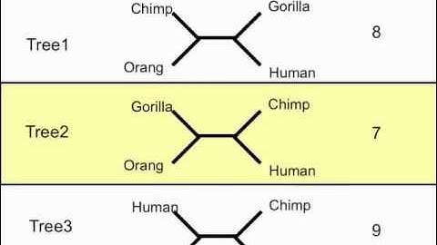 BIS2C FALL2012 Lecture 5 version 2