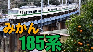 【臨時特急】みかんと185系　新特急色　根府川〜早川