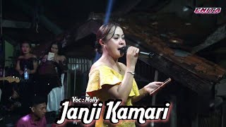 JANJI KAMARI - MOLLY || ENITA ENTERTAINMENT ||LIVE DI PERNIKAHAN HARDI \u0026 DEWI