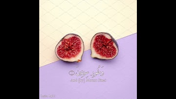 #مشاري_العفاسي#قران_کریم#حالات_واتس_اب  سورة التين تِـلاوة مشاري العفاسي /حالات واتس🤍
