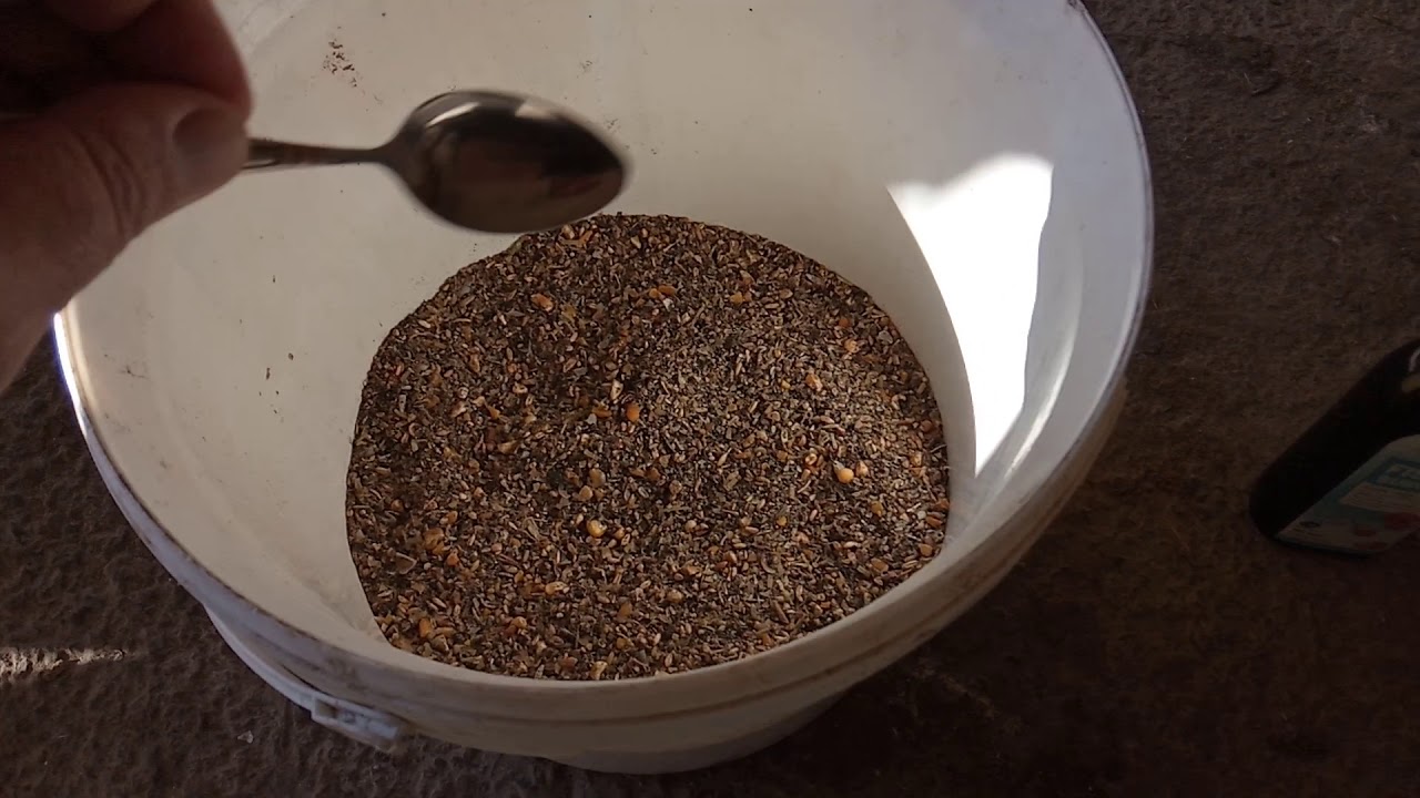 Cuce inkişafinin esas sirri