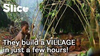 Jungle adventure with the Baka Pygmies: building shelters | SLICE