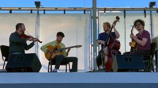 Djangos Tiger With Sol Grimshaw Uk At Mona