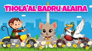 Download lagu Thola'al badru alaina - lagu anak islami - animasi hewan lucu