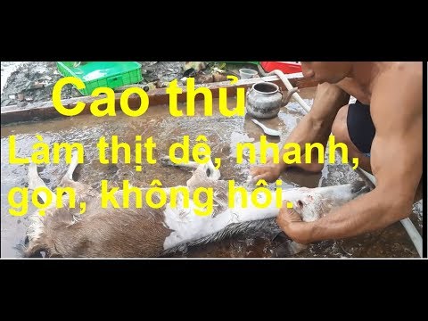 Video: Làm Thế Nào để Có được Một Con Dê