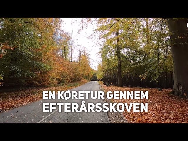Køretur gennem efterårsskoven (ny udgave)