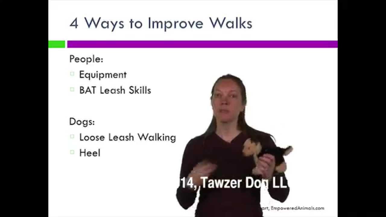 Walk With Me! - Grisha Stewart