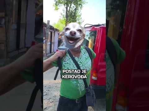 Pirko Gospoče 😎