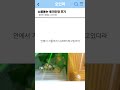 토끼인형에서 소름끼친 이유 #썰쇼츠