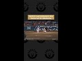 Watch: Lexi McDaniel's first home run for Oklahoma