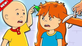 rosies haircut caillou cartoons for kids wildbrain kids