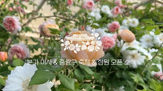 새소식 들고 왔어요! | 본가 이사 | 중랑구 장미 축제 | 클래스&amp;정원 오픈 안내