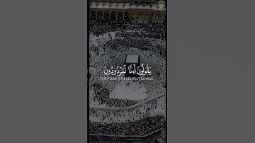 #تلاوات #تلاوات_خاشعة #تلاوة_خاشعة #القرآن #تلاوه_عطره #تلاوة #القرآن_الكريم #القارئ #رعد_الكردي