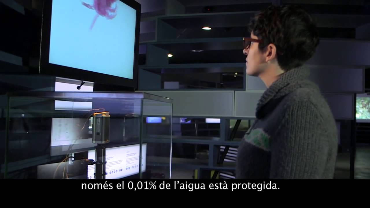 kxan traffic EXPOSICIÓ MEDITERRANI A COSMOCAIXA BARCELONA