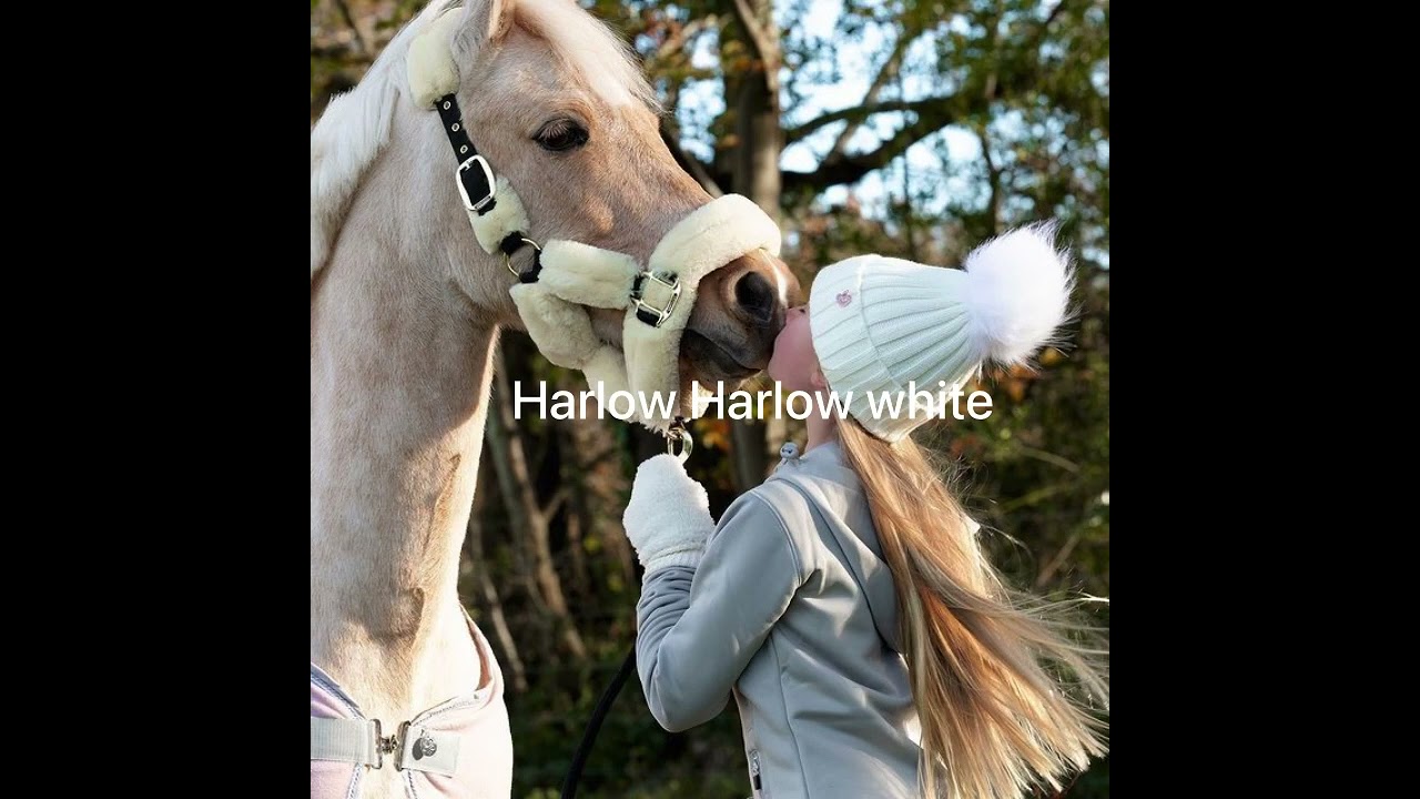 Popcorn Horse Riding Popcorn Horse Riding