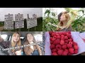 VLOG: Pick Your Own Fruit Farm w/ Rita | Parkside Farm in Enfield, London UK