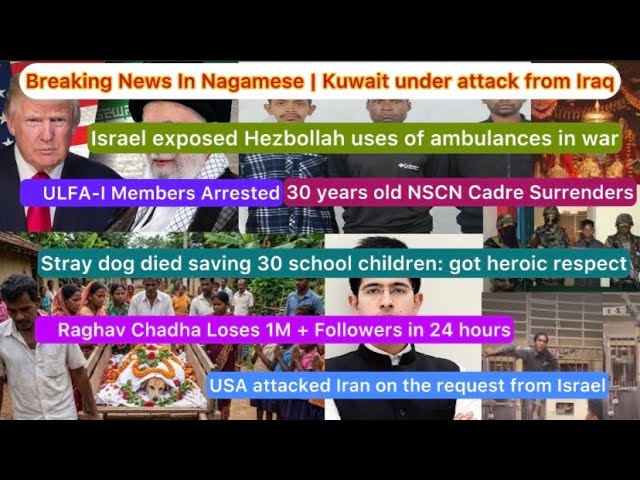 Nagamese News | Stray Dog Died Saving 30 Children | Nagaland News Today | Aloto Naga