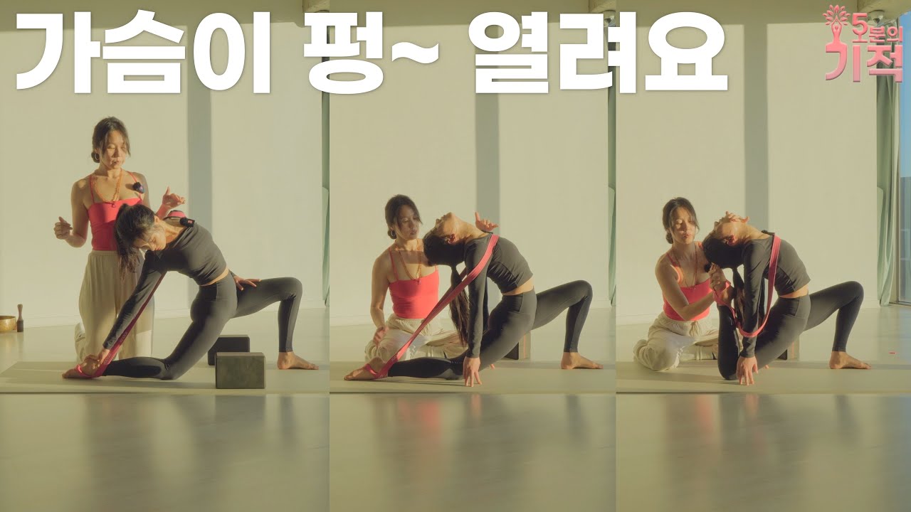 밴드를 이용한 [아쉬와 산찰라] feat.안다르롱밴드