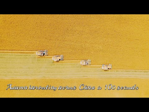 Autumn harvesting across china in 100 seconds