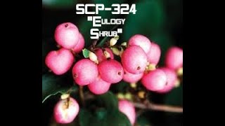 Scp-324 Eulogy Shrub