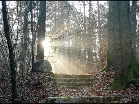 Im Licht der Liebe bin ich geboren   Joachim Goerke