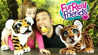 On adopte Tyler, un adorable petit tigre rugissant et joueur ! Peluche interactive Hasbro FurReal