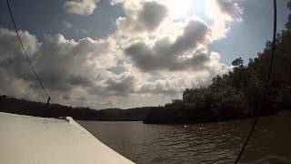 Mangroves tour in Costa Rica