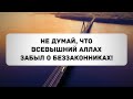 Не думай, что Всевышний Аллах забыл о беззакониках! || Абу Яхья Крымский