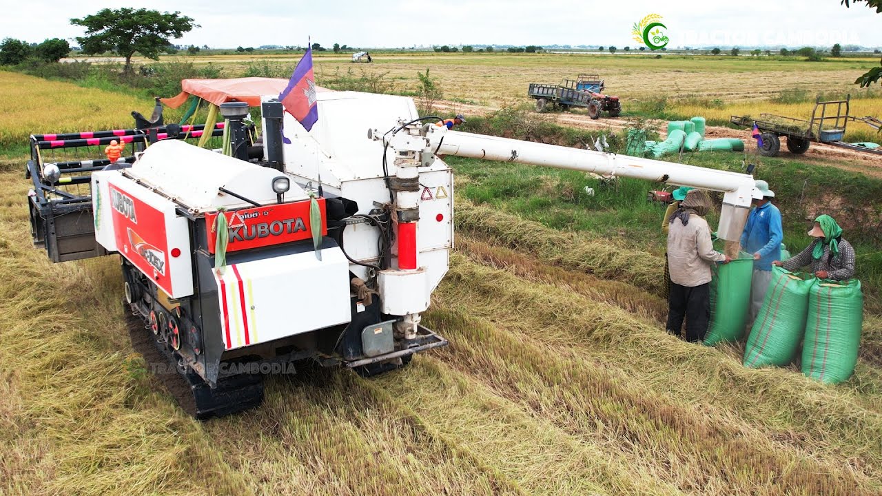 Professionals Combines Harvester Kubota DC105X Skills Working