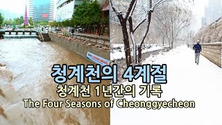 [4K] 청계천의4계절 1년간의 기록  The Four Seasons of Cheonggyecheon