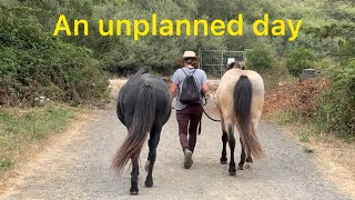 A Completely Unplanned Day in California ! Look what all we experienced 😎