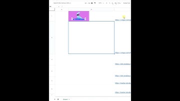 Insert images Inside Cells with Excel IMAGE function #shorts #short #sheets
