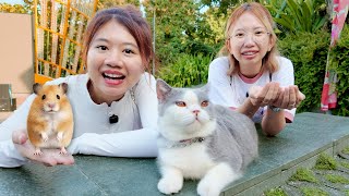 TAKE HAMSTER AND PAMPAM FOR A WALK TO THE MALL!!
