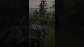 #reddeadredemption2 #rdm2 #gamers #reddeadredemtion2 #xboxone