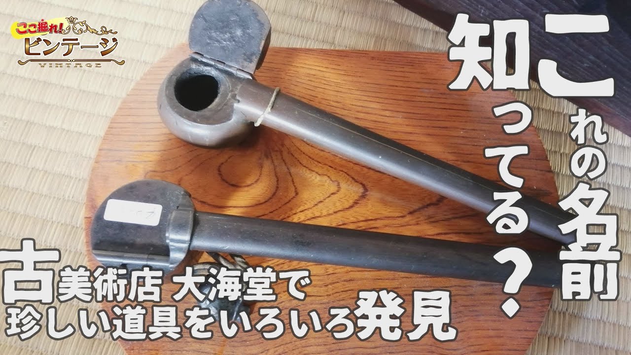 これの名前知ってる？大海堂で珍しい道具を続々発見！【ここ掘れ