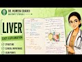 Liver anatomy| simplified| hand written exam notes| abdomen and pelvis|