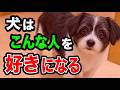 犬に好かれる人の特徴8選を獣医師が解説します