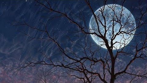 ارح سمعك/سورة البقرة كاملة بصوت الشيخ ماهر المعيقلي قراءة هادئة تريح القلب ❤️ والسمع