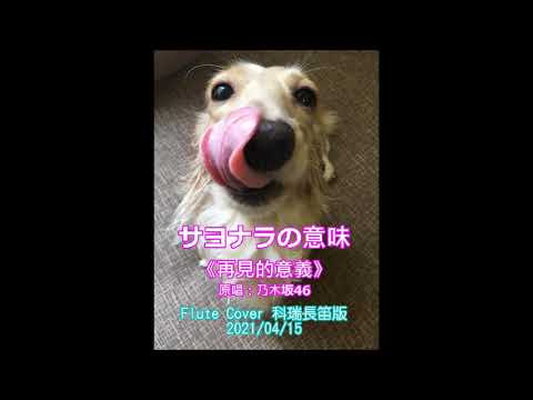 20210415《サヨナラの意味 / 乃木坂46 / 再見的意義》長笛版 flute cover by 科瑞