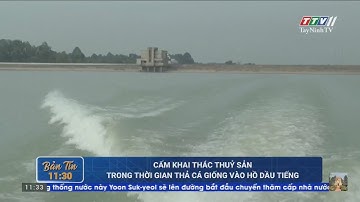 Cấm khai thác thuỷ sản trong thời gian thả cá giống vào Hồ Dầu Tiếng | NÓNG VÀ NỔI BẬT | TayNinhTV