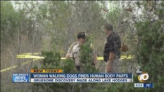 Woman walking dogs finds human body parts
