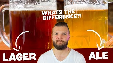 Lager or Ale Beer - What