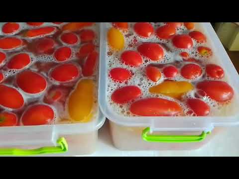 Самые вкусные квашеные помидоры🍅. ПОМИДОРЫ С ГОРЧИЦЕЙ БЕЗ ЗЕЛЕНИ! КАК ИЗ БОЧКИ!