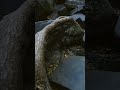 内戦で破壊された寺院