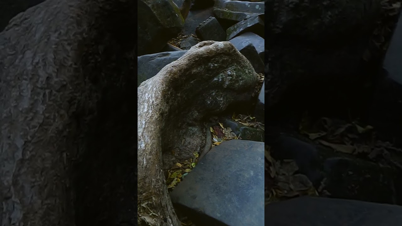 内戦で破壊された寺院