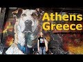 Our Last Days in Athens, Greece, and Europe