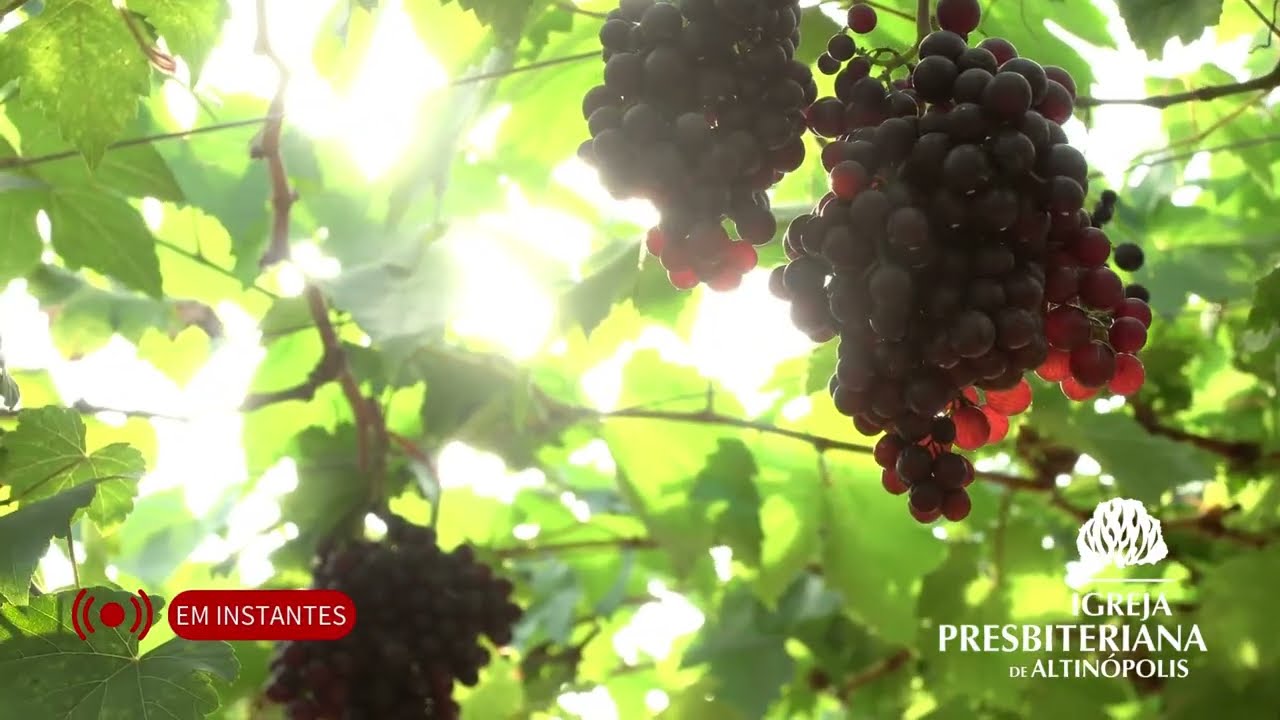 Culto de Celebração | Rev. Daniézer da Silva | Efésios 1.22-23 | 03 de Março de 2026