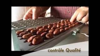 Pralus Du Cacao Au Chocolat