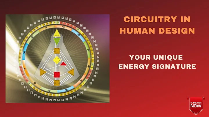 Circuitry in Human Design - The Infrastructure of Your Energy,