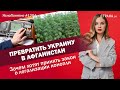 Превратить Украину в Афганистан. Зачем хотят принять закон о легализации конопли |  ЯсноПонятно#1204